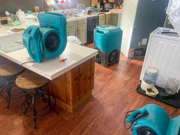 Professional Water damage restoration in TN
