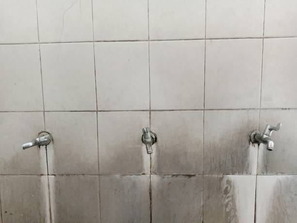 Best Water damage restoration near me  in White Bluff, TN