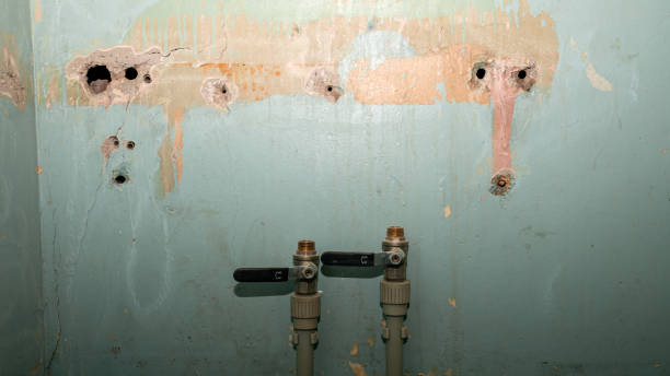 Best Local water damage restoration  in White Bluff, TN