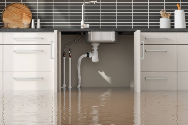 Best Commercial water damage restoration  in White Bluff, TN